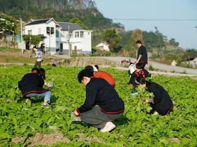 说明: DSC09826-01